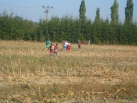 /album/fotogalerie-podzimni-vychazka/mini-31krosovy-beh-jpg1/